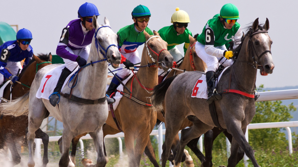 The Preakness Stakes